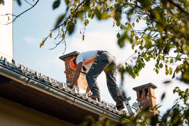 Best Roof Gutter Cleaning  in Bay City, TX