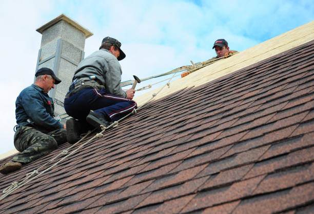 Best Gutter Installation and Roofing  in Bay City, TX